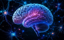 Seu cérebro pode estar em risco: 5 hábitos comuns que preocupam neurologistas